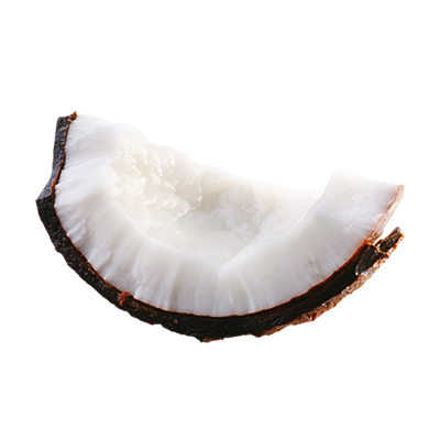 Coconut